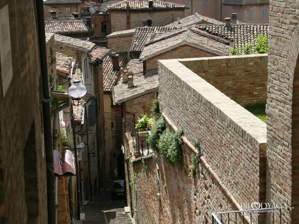 Urbino